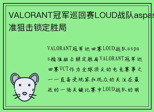 VALORANT冠军巡回赛LOUD战队aspas精准狙击锁定胜局