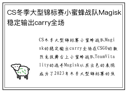 CS冬季大型锦标赛小蜜蜂战队Magisk稳定输出carry全场