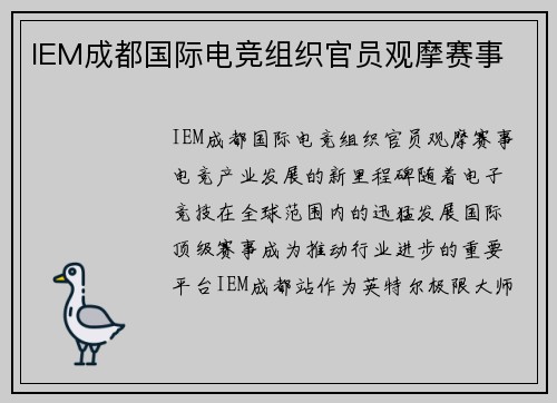 IEM成都国际电竞组织官员观摩赛事
